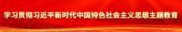 嗯…哦使劲操视频网站学习贯彻习近平新时代中国特色社会主义思想主题教育